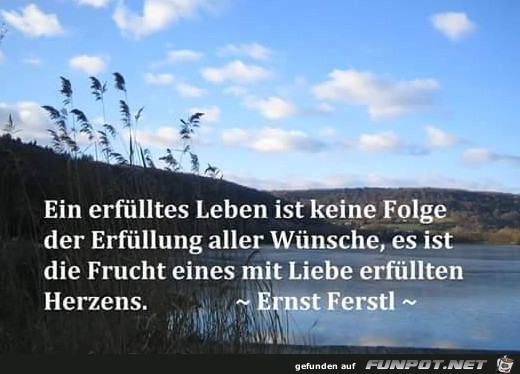 Ein erfuelltes Leben 