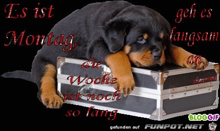 Montag Montag
