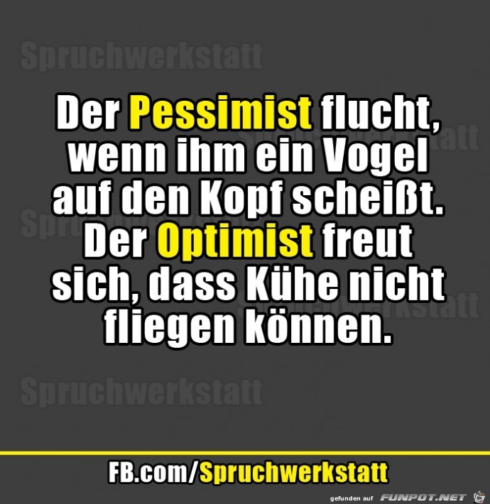 optimist optimist