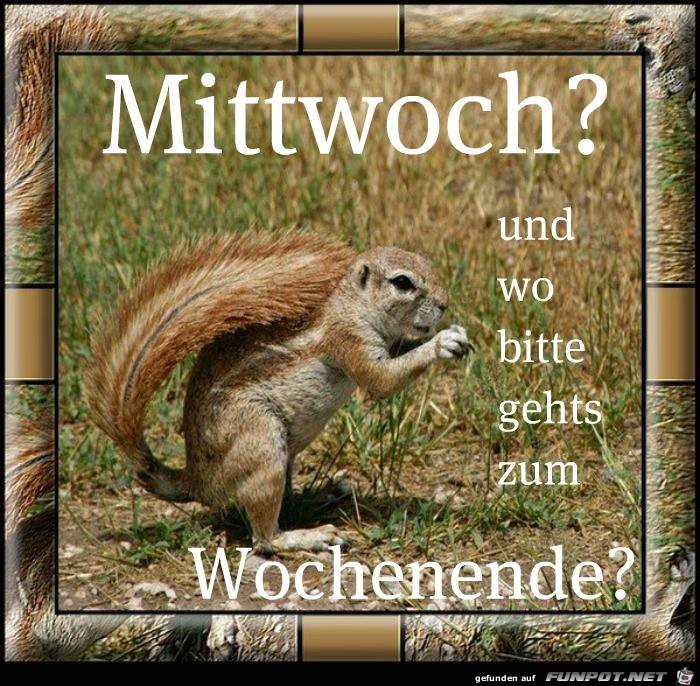 Mittwoch