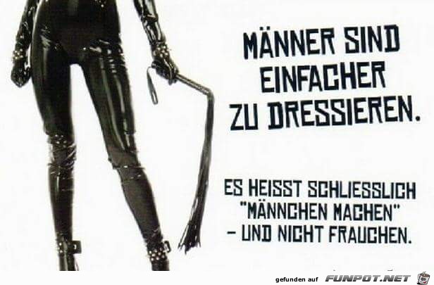 dressieren dressieren