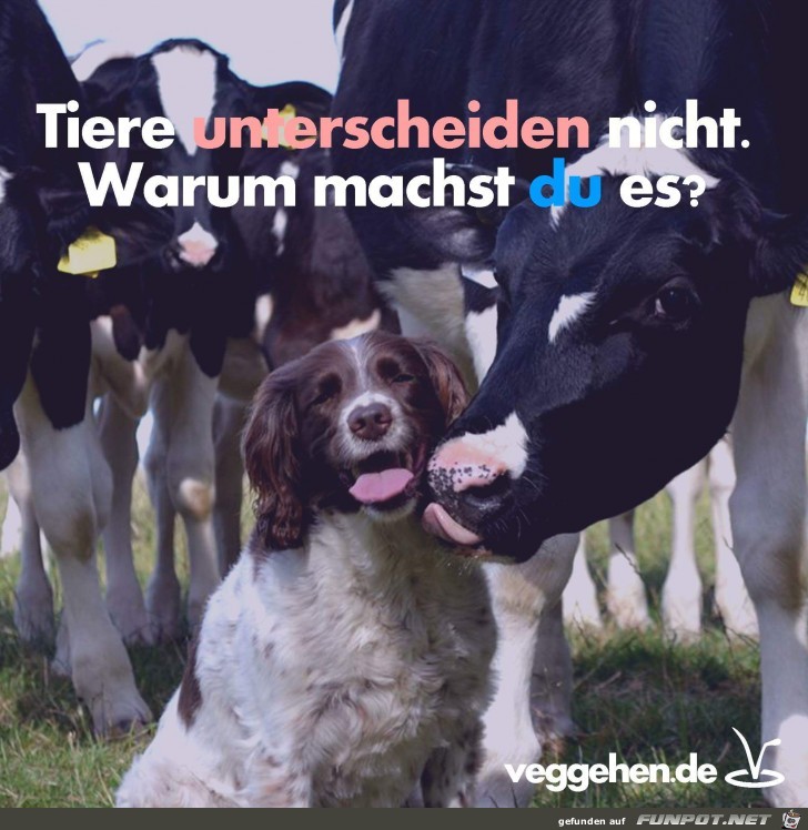 Tiere unterscheiden nicht