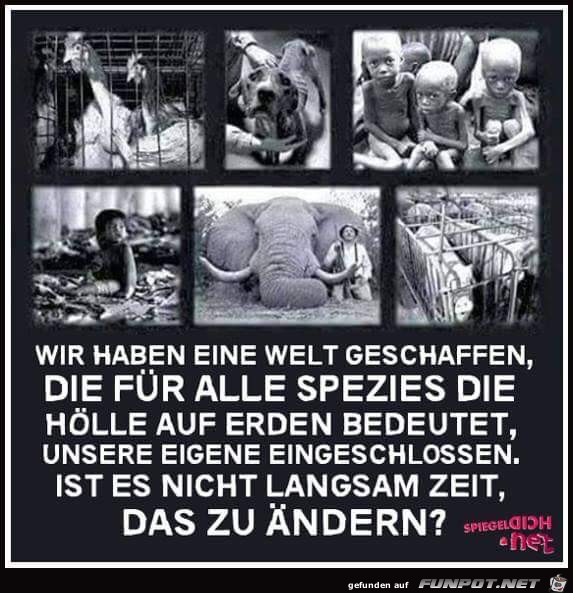 Wir haben eine Welt geschaffen