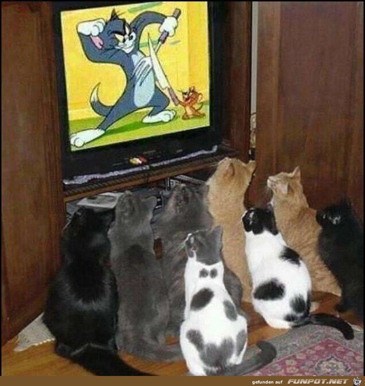 Tom and Jerry