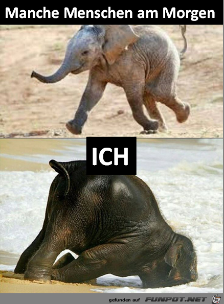 Manche Menschen Manche Menschen