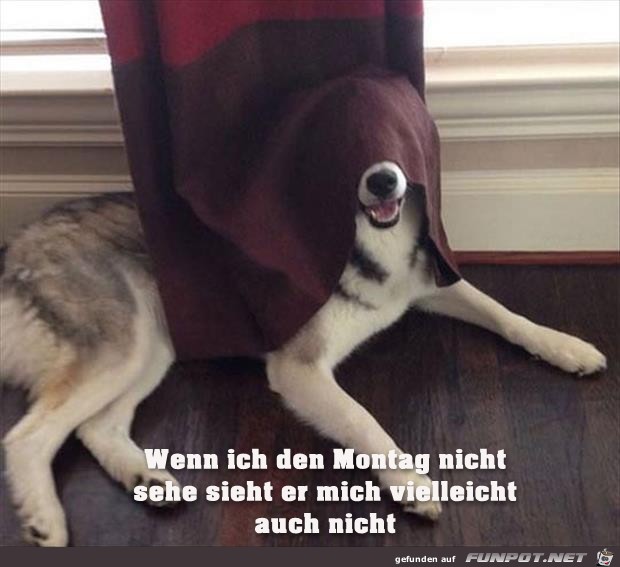 Montag