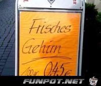 Gehirn Gehirn