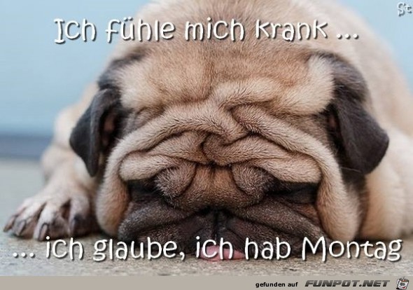 ich hab Montag ich hab Montag