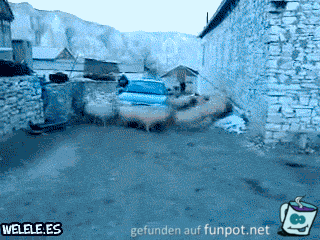 5256984 5256984