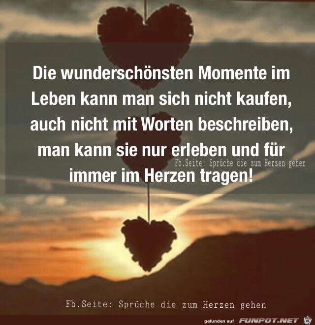 Die wunderschnsten Momente