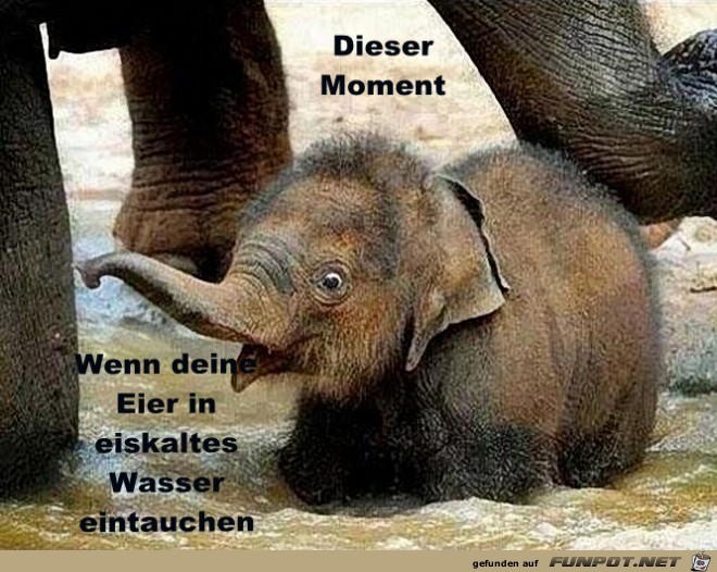 Wasser Wasser