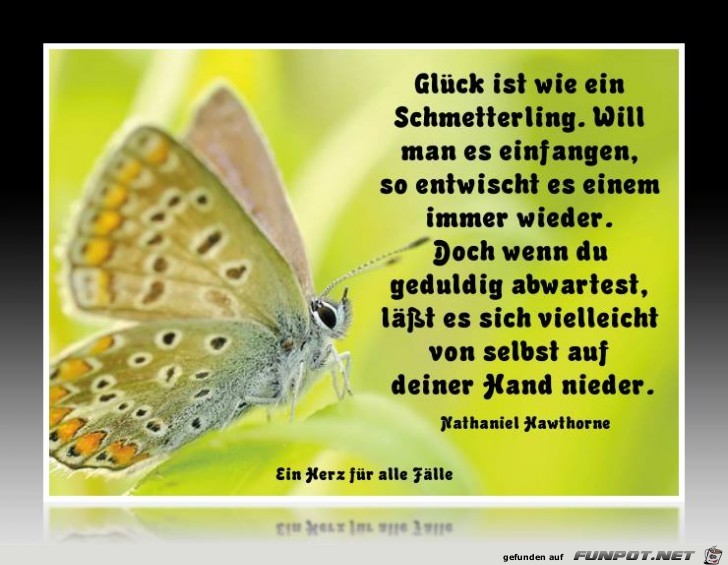 Glueck ist wie ein Schmetterling