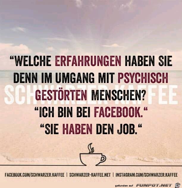 Erfahrungen Erfahrungen