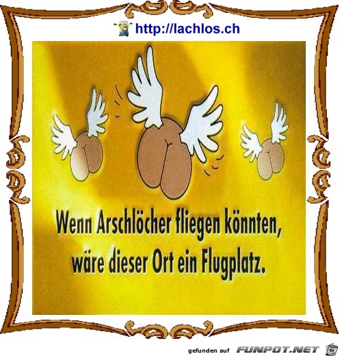 fliegen fliegen