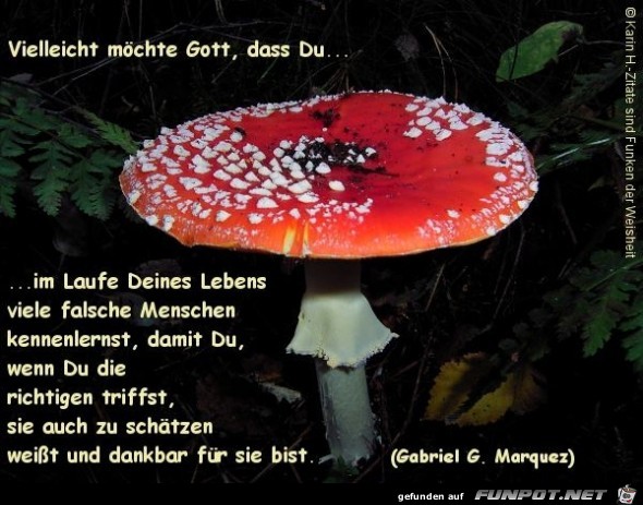 vielleicht vielleicht