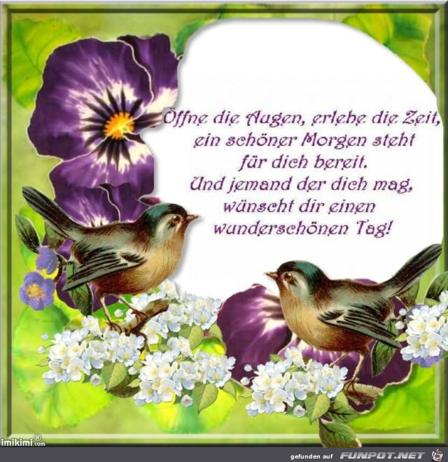 Wunderschoenen Tag Wunderschoenen Tag