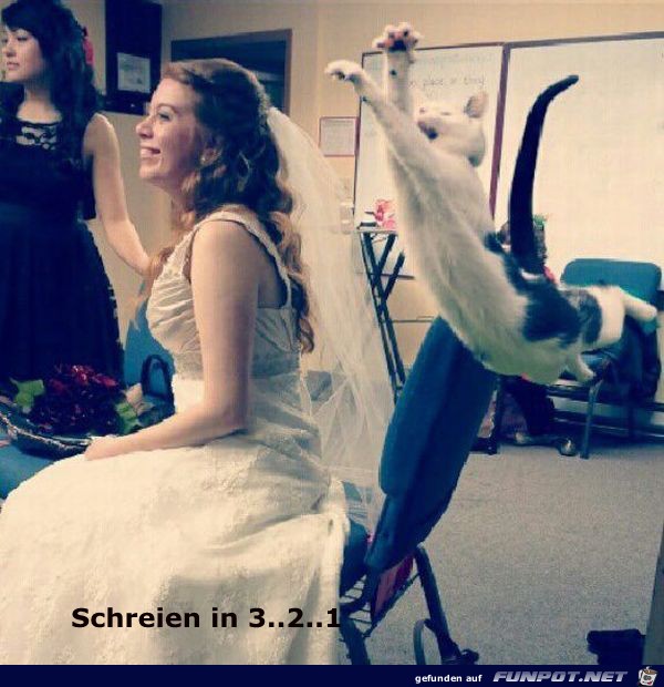 Schreien Schreien