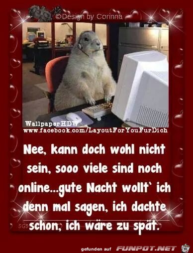 nee nee
