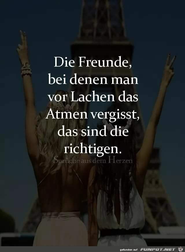 die freunde