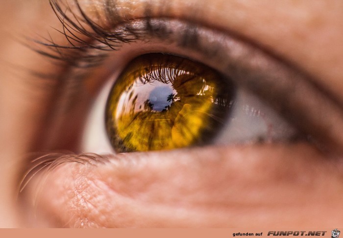 Wow-Bilder Anschauen und geniessen 5 Wow-Bilder Anschauen und geniessen 5