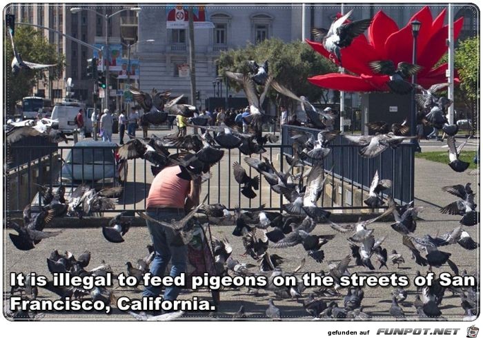 Interesting-Travel-Facts-00091910 Interesting-Travel-Facts-00091910