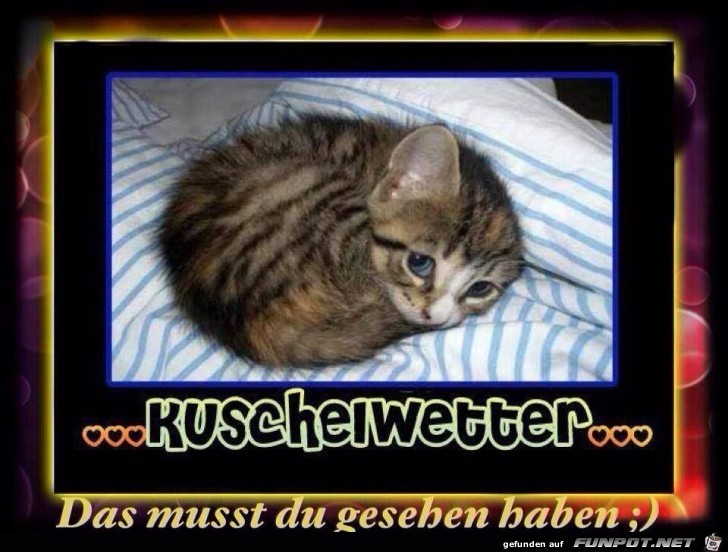 Kuschelwetter Kuschelwetter