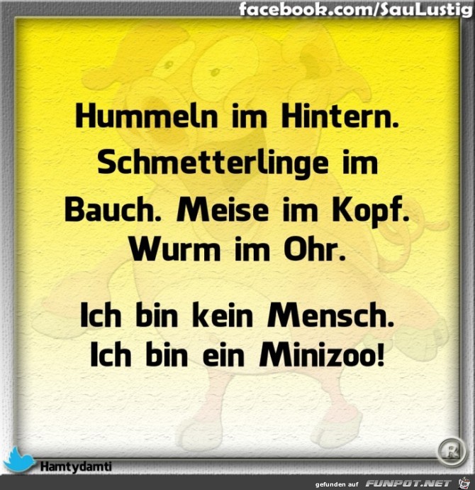  Ich bin ein Minizoo