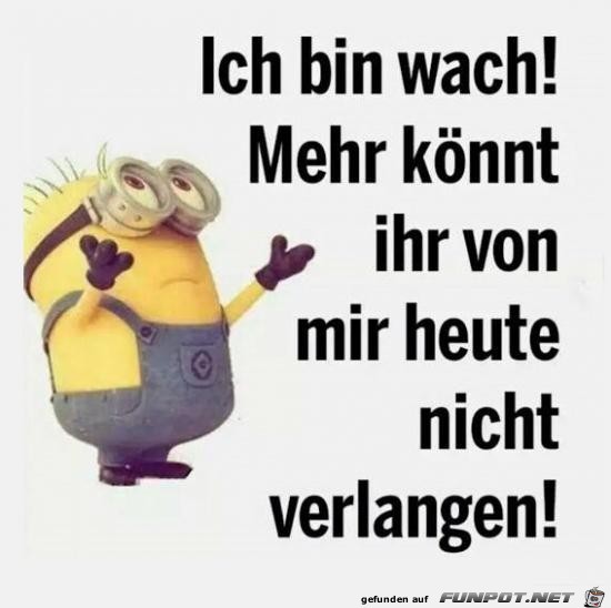 ich bin wach ich bin wach