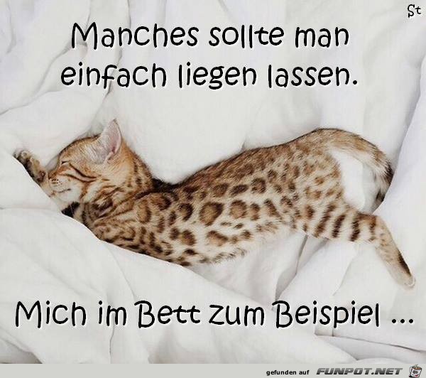 zum beispiel zum beispiel