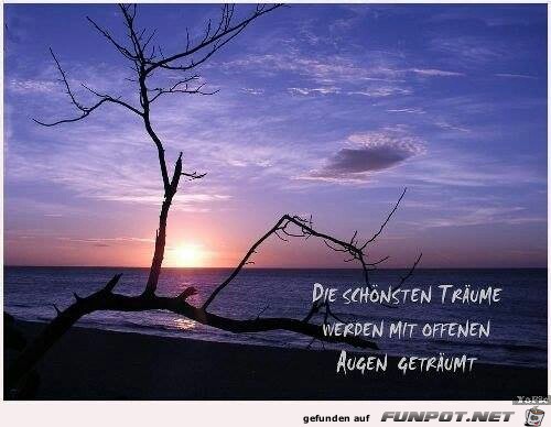 die schoensten Traeume die schoensten Traeume