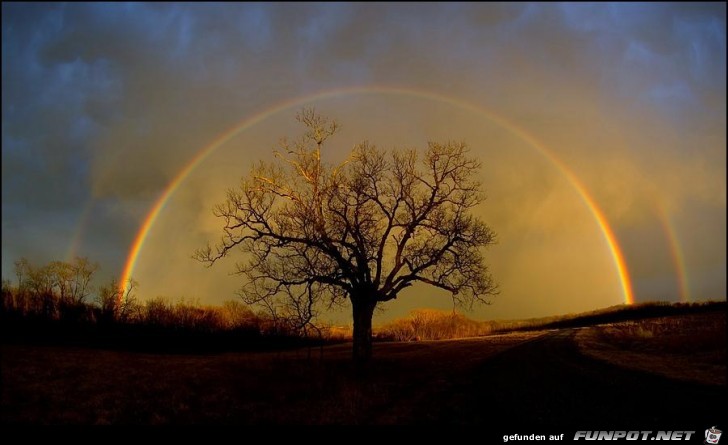 rainbow elam 3 rainbow elam 3