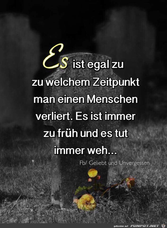 es ist egal es ist egal