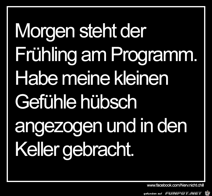 Programm Programm