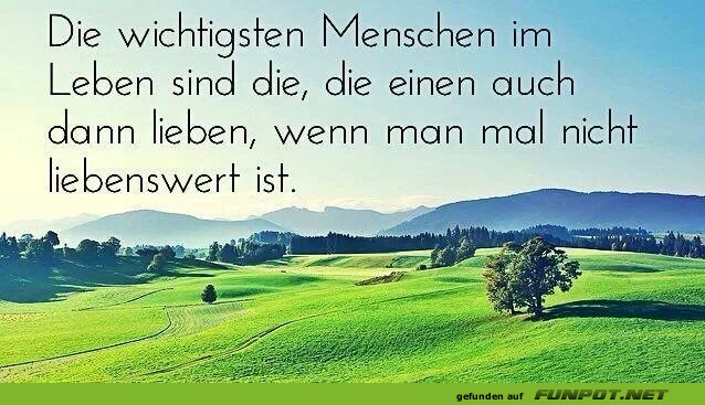 10 sch�ne Spr�che und Lebensweisheiten aus...