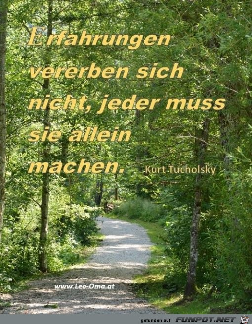 Erfahrungen Erfahrungen