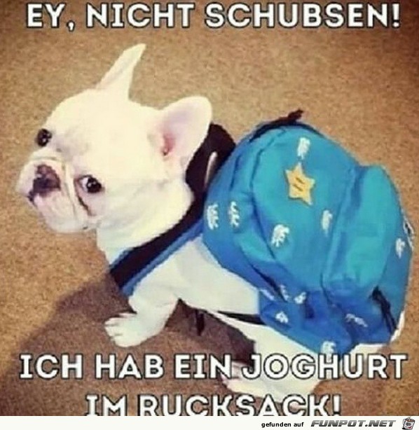 Ey nicht schubsen Ey nicht schubsen
