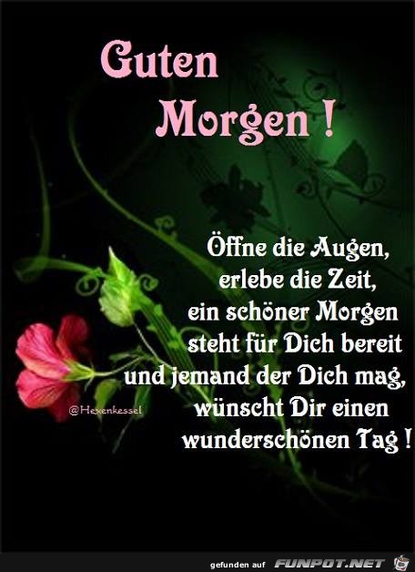 guten morgen 01 guten morgen 01