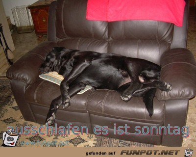ausschlafen es ist Sonntag ausschlafen es ist Sonntag