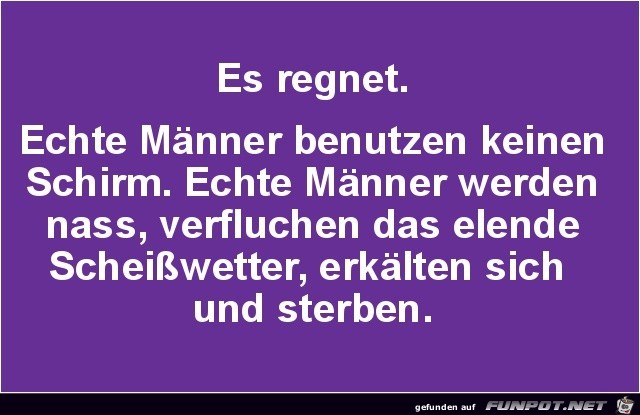 es regnet es regnet