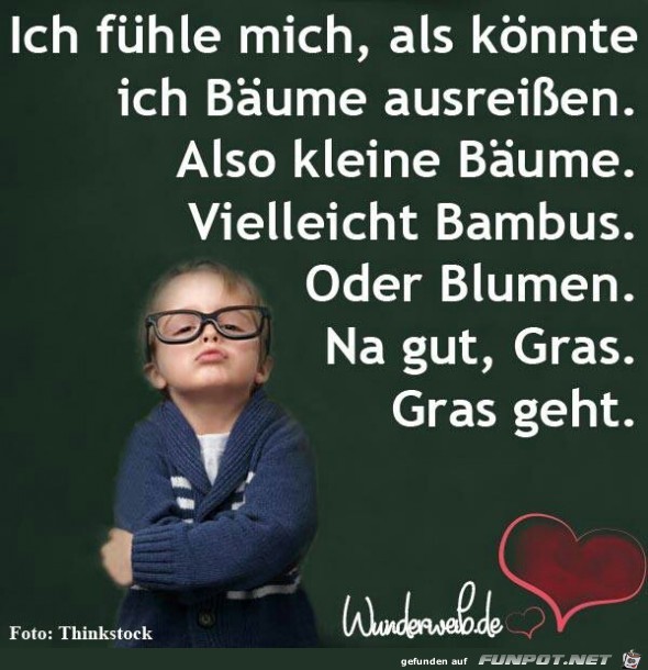 Baeume Baeume