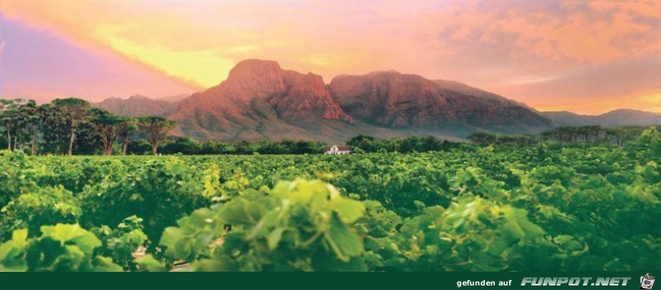 Die schoensten Wein-Gegenden der Welt 20 Die schoensten Wein-Gegenden der Welt 20