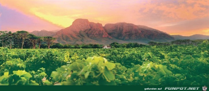 Die schoensten Wein-Gegenden der Welt 20