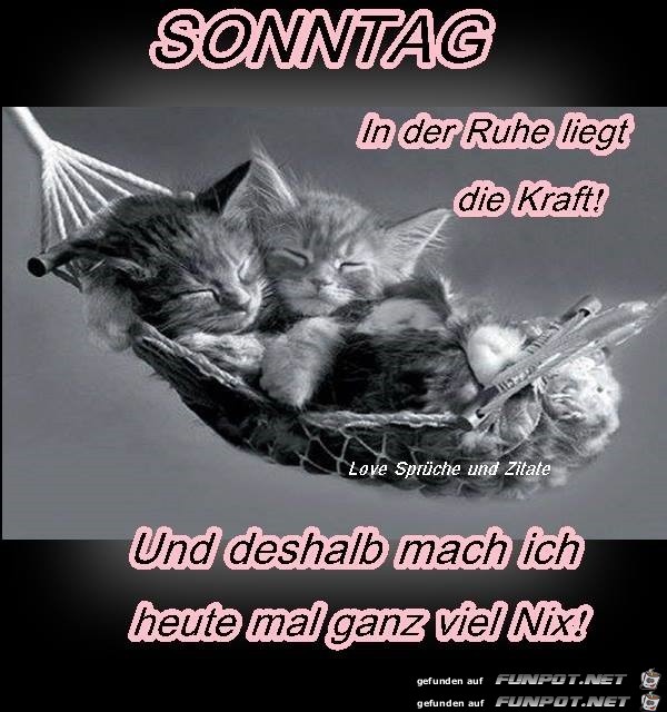 nix nix