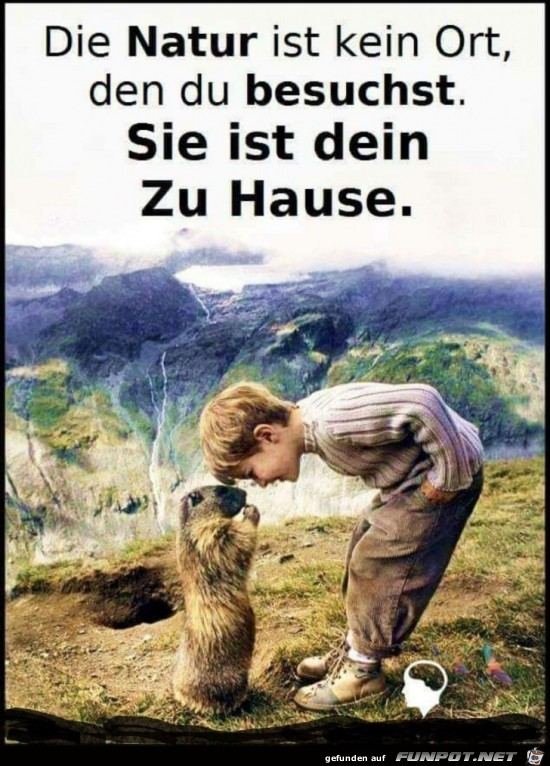 die Natur ist kein Ort