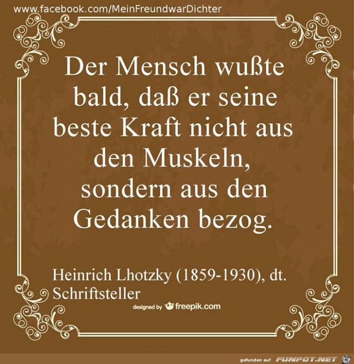 Muskeln Muskeln