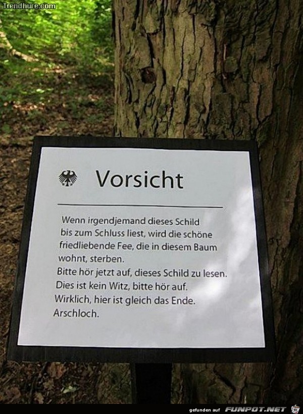 Lesen Lesen