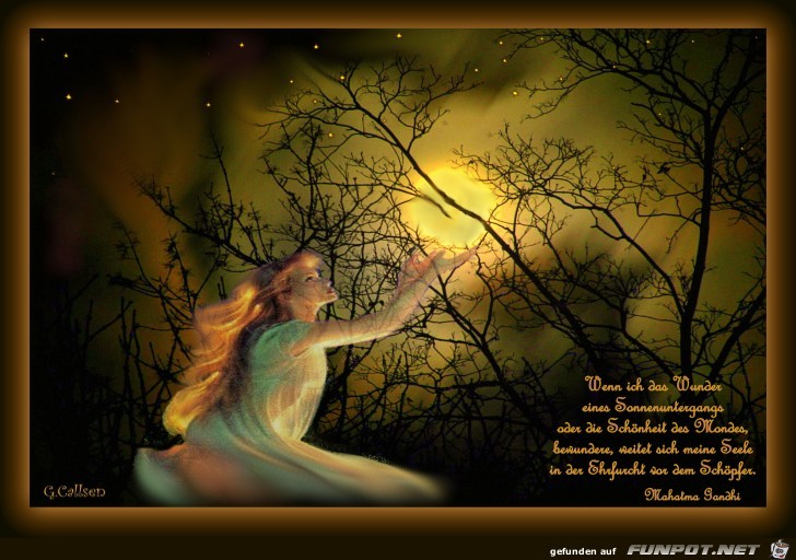 Mystisches Bild Mond Aeste 4 C Mystisches Bild Mond Aeste 4 C
