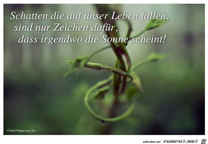 Sonne Sonne