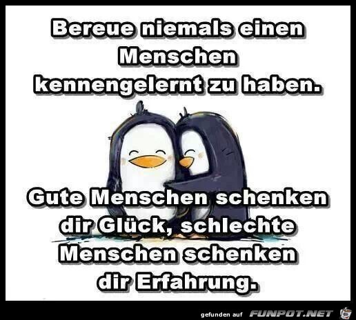 erfahrung6 erfahrung6