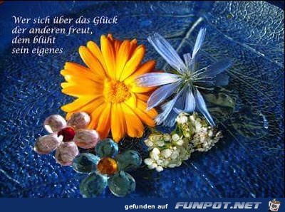 das glueck der anderen das glueck der anderen